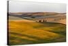 Landscape of rolling wheat field at sunrise, Palouse, Washington State, USA-Keren Su-Stretched Canvas