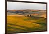 Landscape of rolling wheat field at sunrise, Palouse, Washington State, USA-Keren Su-Framed Photographic Print