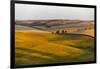 Landscape of rolling wheat field at sunrise, Palouse, Washington State, USA-Keren Su-Framed Photographic Print