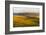 Landscape of rolling wheat field at sunrise, Palouse, Washington State, USA-Keren Su-Framed Photographic Print