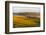 Landscape of rolling wheat field at sunrise, Palouse, Washington State, USA-Keren Su-Framed Photographic Print