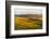 Landscape of rolling wheat field at sunrise, Palouse, Washington State, USA-Keren Su-Framed Photographic Print