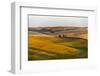 Landscape of rolling wheat field at sunrise, Palouse, Washington State, USA-Keren Su-Framed Photographic Print