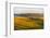 Landscape of rolling wheat field at sunrise, Palouse, Washington State, USA-Keren Su-Framed Photographic Print