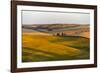 Landscape of rolling wheat field at sunrise, Palouse, Washington State, USA-Keren Su-Framed Photographic Print