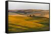 Landscape of rolling wheat field at sunrise, Palouse, Washington State, USA-Keren Su-Framed Stretched Canvas
