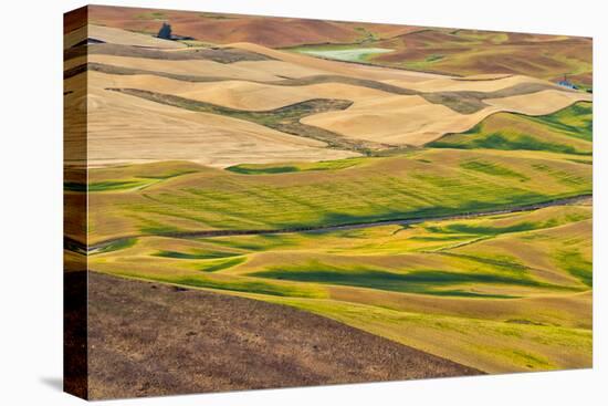 Landscape of rolling wheat field, Palouse, Washington State, USA-Keren Su-Stretched Canvas