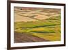 Landscape of rolling wheat field, Palouse, Washington State, USA-Keren Su-Framed Photographic Print