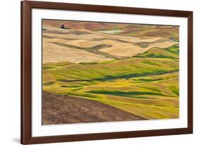 Landscape of rolling wheat field, Palouse, Washington State, USA-Keren Su-Framed Photographic Print