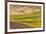 Landscape of rolling wheat field, Palouse, Washington State, USA-Keren Su-Framed Photographic Print