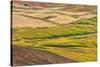 Landscape of rolling wheat field, Palouse, Washington State, USA-Keren Su-Stretched Canvas