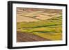 Landscape of rolling wheat field, Palouse, Washington State, USA-Keren Su-Framed Photographic Print