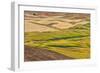 Landscape of rolling wheat field, Palouse, Washington State, USA-Keren Su-Framed Photographic Print