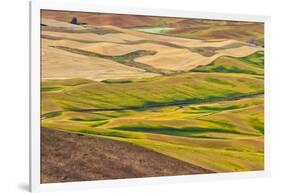 Landscape of rolling wheat field, Palouse, Washington State, USA-Keren Su-Framed Photographic Print