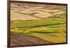 Landscape of rolling wheat field, Palouse, Washington State, USA-Keren Su-Framed Photographic Print