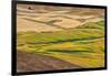 Landscape of rolling wheat field, Palouse, Washington State, USA-Keren Su-Framed Photographic Print