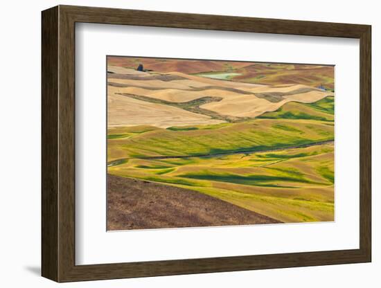 Landscape of rolling wheat field, Palouse, Washington State, USA-Keren Su-Framed Photographic Print