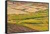 Landscape of rolling wheat field, Palouse, Washington State, USA-Keren Su-Framed Stretched Canvas