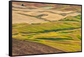 Landscape of rolling wheat field, Palouse, Washington State, USA-Keren Su-Framed Stretched Canvas