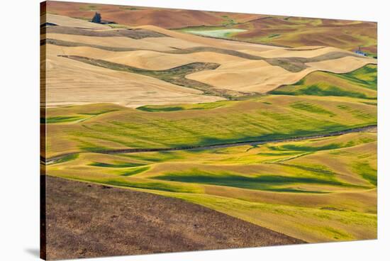 Landscape of rolling wheat field, Palouse, Washington State, USA-Keren Su-Stretched Canvas