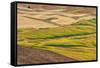 Landscape of rolling wheat field, Palouse, Washington State, USA-Keren Su-Framed Stretched Canvas