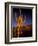 Landscape of Saguaro National Monument, Arizona, USA-Art Wolfe-Framed Photographic Print