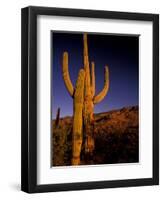 Landscape of Saguaro National Monument, Arizona, USA-Art Wolfe-Framed Photographic Print