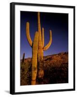 Landscape of Saguaro National Monument, Arizona, USA-Art Wolfe-Framed Photographic Print