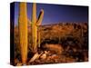 Landscape of Saguaro National Monument, Arizona, USA-Art Wolfe-Stretched Canvas