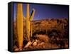 Landscape of Saguaro National Monument, Arizona, USA-Art Wolfe-Framed Stretched Canvas