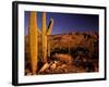 Landscape of Saguaro National Monument, Arizona, USA-Art Wolfe-Framed Photographic Print