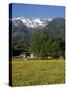 Landscape of Snow Capped Peaks Above Flower Covered Valley, Salzburgland, Austria-Richard Nebesky-Stretched Canvas