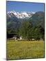 Landscape of Snow Capped Peaks Above Flower Covered Valley, Salzburgland, Austria-Richard Nebesky-Mounted Photographic Print