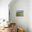 Landscape of the Caldeirao do Corvo, Corvo, Azores, Portugal, Atlantic, Europe-Karol Kozlowski-Stretched Canvas displayed on a wall