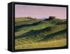 Landscape of the Crete Senesi Area, Southeast of Siena, Near Asciano, Tuscany, Italy, Europe-Patrick Dieudonne-Framed Stretched Canvas