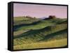 Landscape of the Crete Senesi Area, Southeast of Siena, Near Asciano, Tuscany, Italy, Europe-Patrick Dieudonne-Framed Stretched Canvas
