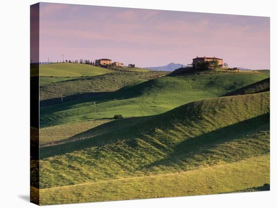 Landscape of the Crete Senesi Area, Southeast of Siena, Near Asciano, Tuscany, Italy, Europe-Patrick Dieudonne-Stretched Canvas