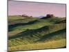 Landscape of the Crete Senesi Area, Southeast of Siena, Near Asciano, Tuscany, Italy, Europe-Patrick Dieudonne-Mounted Photographic Print