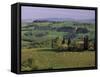 Landscape of the Crete Senesi Area, Southeast of Siena, Near Asciano, Tuscany, Italy, Europe-Patrick Dieudonne-Framed Stretched Canvas