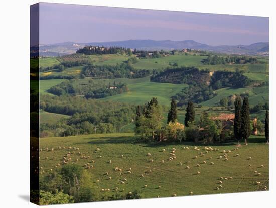 Landscape of the Crete Senesi Area, Southeast of Siena, Near Asciano, Tuscany, Italy, Europe-Patrick Dieudonne-Stretched Canvas