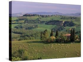 Landscape of the Crete Senesi Area, Southeast of Siena, Near Asciano, Tuscany, Italy, Europe-Patrick Dieudonne-Stretched Canvas