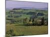 Landscape of the Crete Senesi Area, Southeast of Siena, Near Asciano, Tuscany, Italy, Europe-Patrick Dieudonne-Mounted Photographic Print