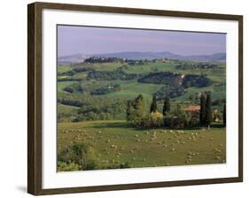 Landscape of the Crete Senesi Area, Southeast of Siena, Near Asciano, Tuscany, Italy, Europe-Patrick Dieudonne-Framed Photographic Print