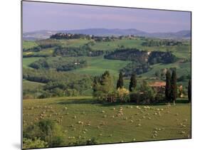 Landscape of the Crete Senesi Area, Southeast of Siena, Near Asciano, Tuscany, Italy, Europe-Patrick Dieudonne-Mounted Photographic Print