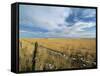 Landscape of the Great Wide Open Spaces of the Prairies, in the South West of North Dakota, USA-Robert Francis-Framed Stretched Canvas