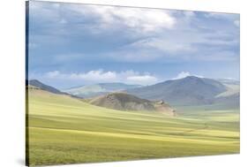 Landscape of the green Mongolian steppe under a gloomy sky, Ovorkhangai province, Mongolia, Central-Francesco Vaninetti-Stretched Canvas