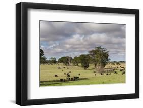 Landscape of the savannah, Tsavo, Kenya.-Sergio Pitamitz-Framed Photographic Print