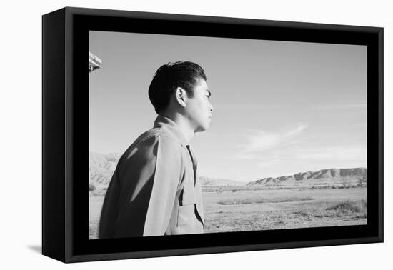 Landscape of the South Fields-Ansel Adams-Framed Stretched Canvas