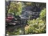 Landscape of Traditional Chinese Garden, Shanghai, China-Keren Su-Mounted Photographic Print