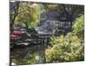 Landscape of Traditional Chinese Garden, Shanghai, China-Keren Su-Mounted Photographic Print